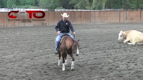 Horse Training Video
