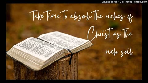 take time to absorb the riches of Christ as the rich soil