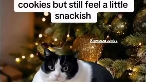 Me After The Holidays