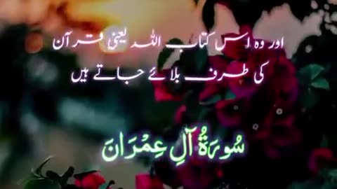 Beshak 💯♥️✨🕊️