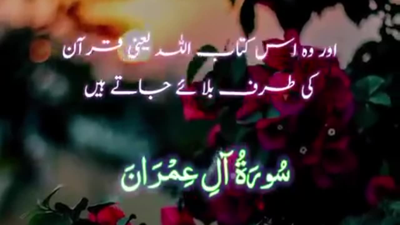 Beshak 💯♥️✨🕊️