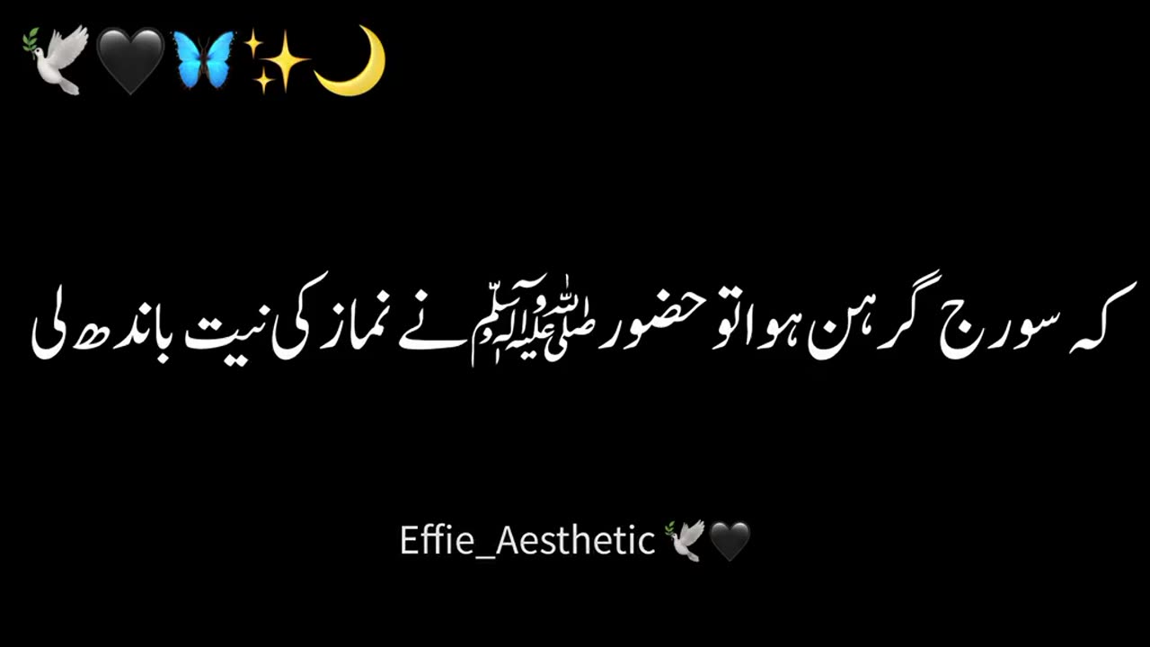 Allah hu akber 🕊️