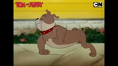 Funny Tom and Jerry’s Greatest Escape Tactics!