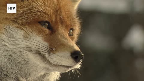 Discovering Earth’s Lost and Sacred Places