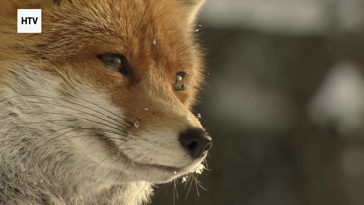 Discovering Earth’s Lost and Sacred Places