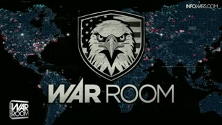 INFOWARS LIVE - 11/23/25: The American Journal with Breanna Morello / The Alex Jones Show / The War Room With Harrison Smith
