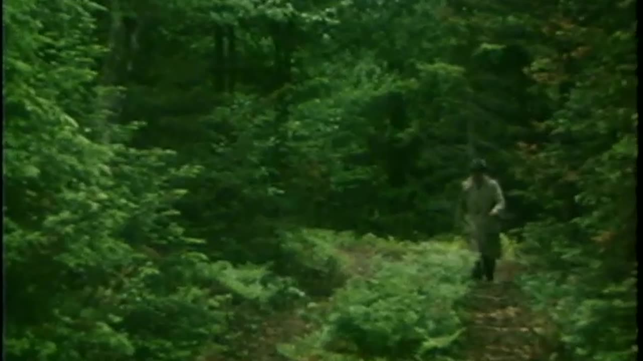 [THUNDER BAY AND ALPENA] - [THUNDER BAY AND ALPENA] - fc-fc-4500