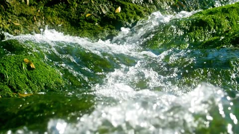 "Success is not final, failure is not fatal."