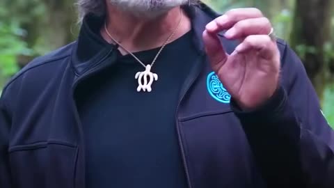 Paul Stamets ~ Normalcy Nature away from Politics