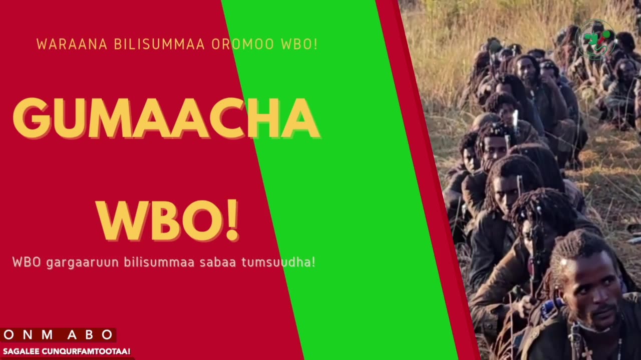 Gabaasa Gumaacha ONM-ABO Onkoloolessa 5-2025 itti dhiyaadhaa!