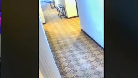 😱🏨 The Most Haunting Ghost in a Hotel! | TheHauntingHour