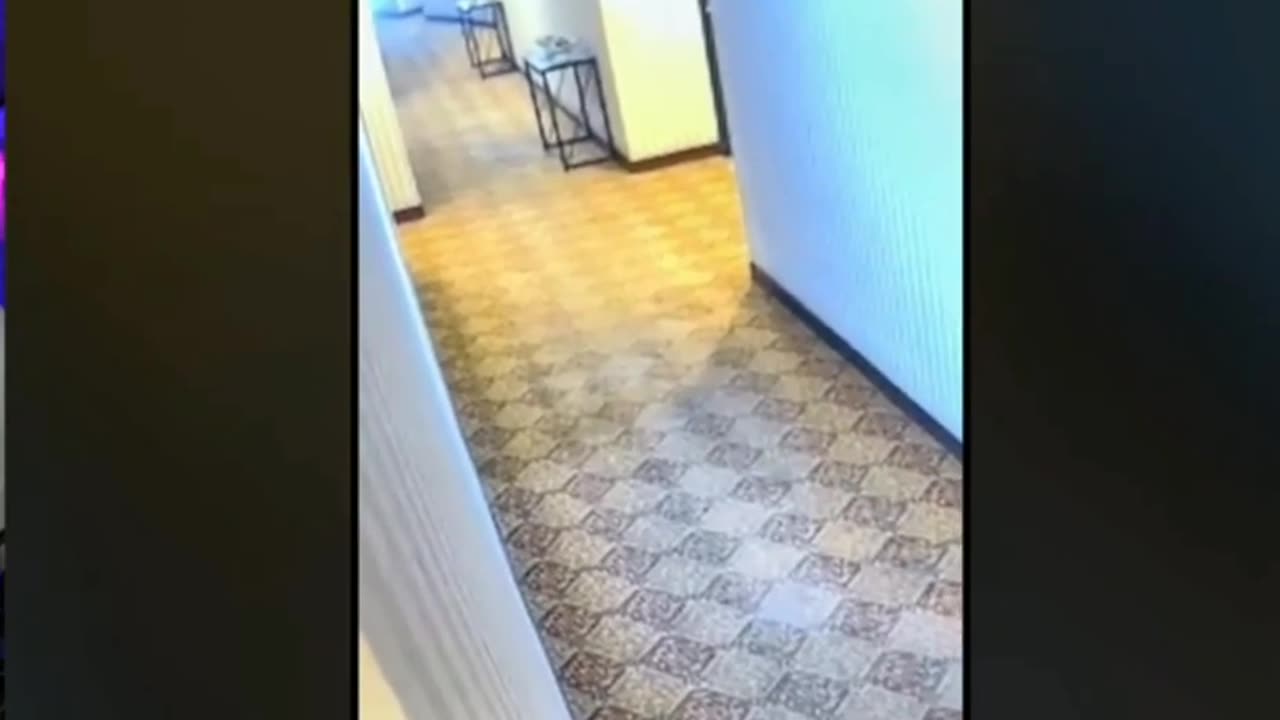 😱🏨 The Most Haunting Ghost in a Hotel! | TheHauntingHour