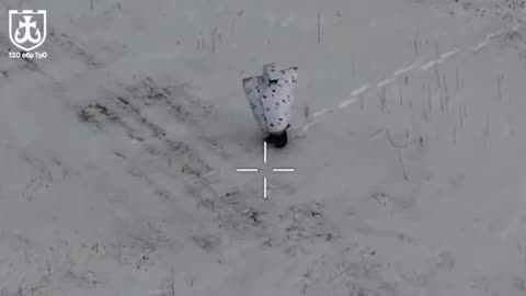 Destruction of Russian "penguins" in the Donetsk steppes continues…