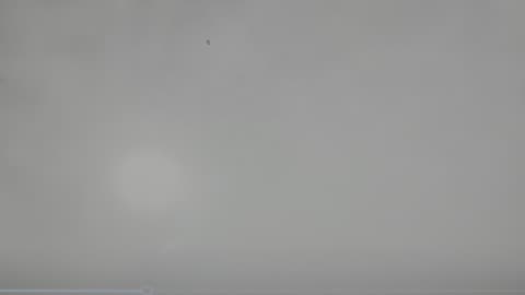 poisoning over my grass and house neighbor