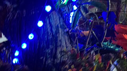 Halloween decorations Part 3B: The path and the view of a tour followers