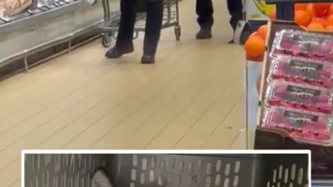 Chicago police seen pulling a coyote out of a refrigerated area at an Aldi grocery store. 
