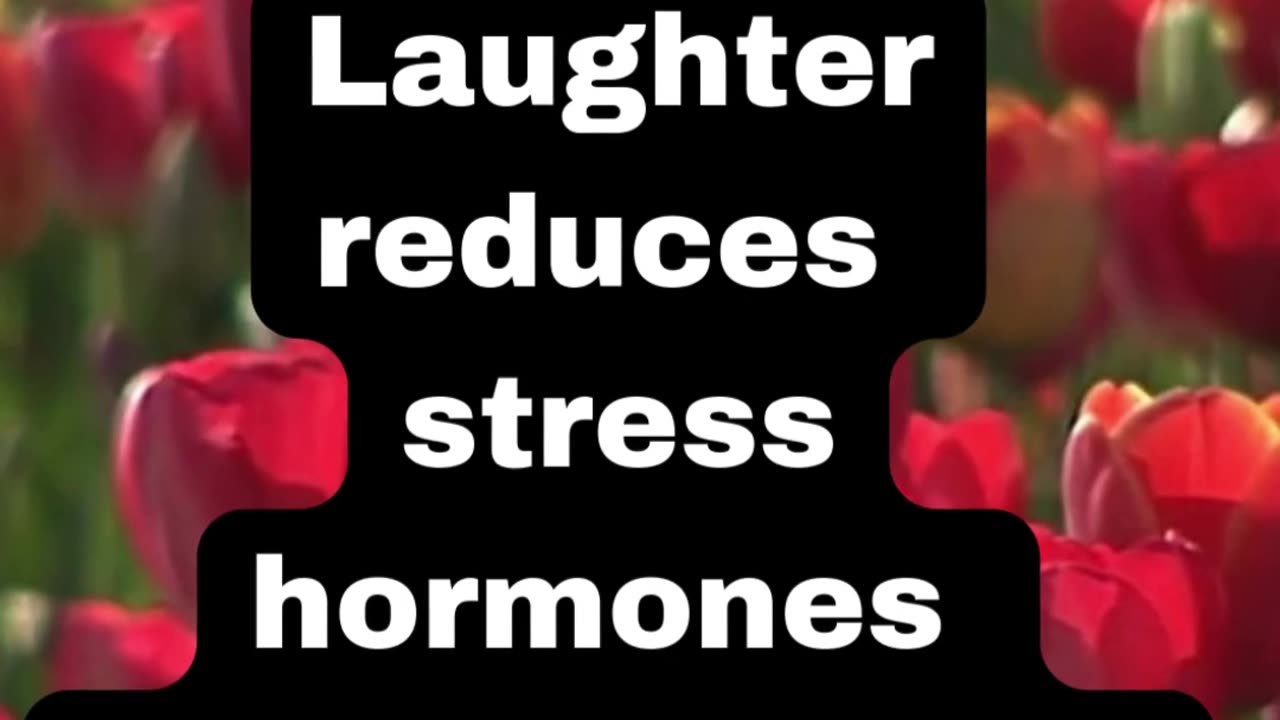 Laughter reduces stress hormones and boosts the immune system.