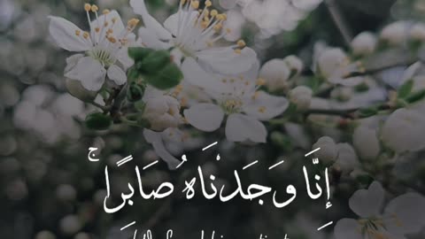 🔥Surah Sad 38:44 سورة ص 💫💖 #viral #love #youtubeshorts #trending #quran #foryou #shortvideo