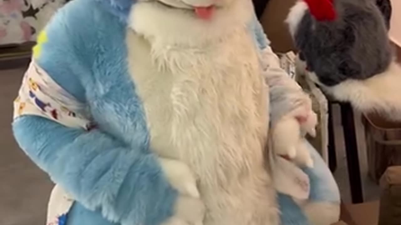 微醺龙龙_哔哩哔哩_
