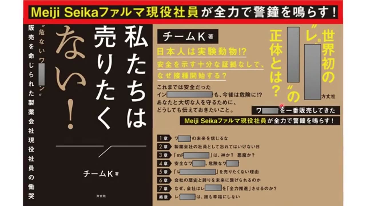 私達は売りたくない 解説 藤江成光氏