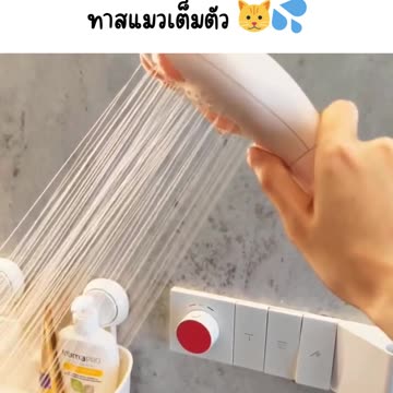 พร้อมรับบทเป็นทาสแมวเต็มตัว 🐱💦 https://s.shopee.co.th/AA2ki6vL0M