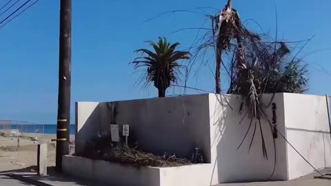 8 hours after the Pacific Palisades fires he said there would be no rebuilding
			