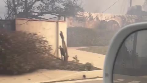 Pasadena Resident Tours Smoldering City After Devastating Brushfire