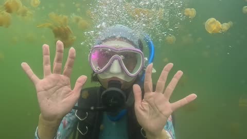 The Octopus Jellyfish of Lake Shiraishi