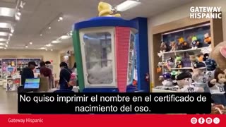 A Build-A-Bear employee refuses to put Charlie Kirk's name on a bear's birth certificate