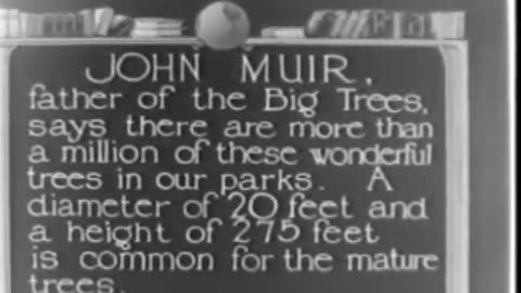 BIG TREES OF CALIFORNIA,THE - BIG TREES OF CALIFORNIA,THE - fc-fc-350