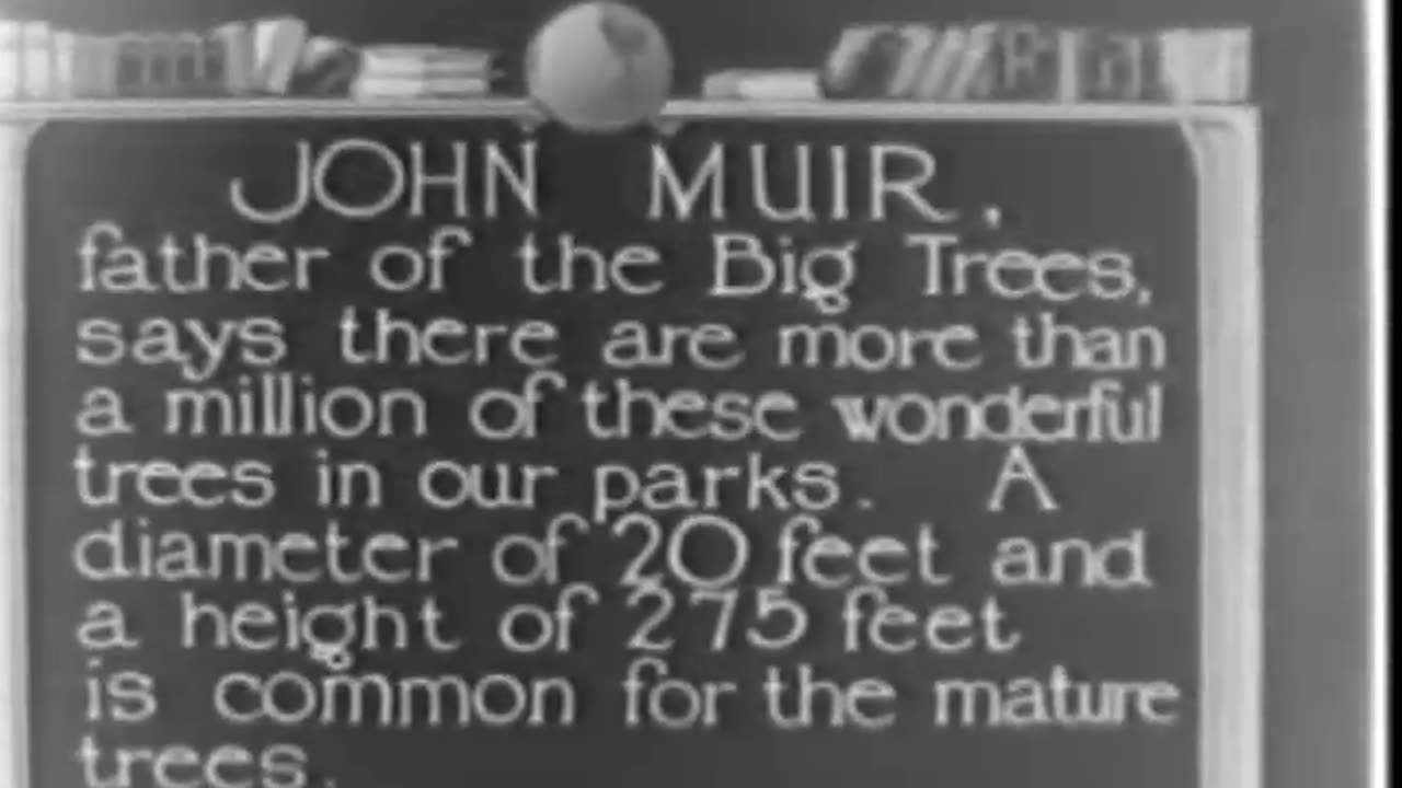 BIG TREES OF CALIFORNIA,THE - BIG TREES OF CALIFORNIA,THE - fc-fc-350