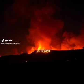 The perfect representation of this cesspool filled with satanic pedophile jews