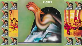 Camel | Camel