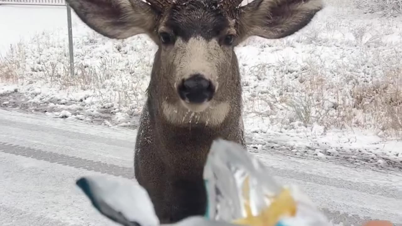 What you got there budd