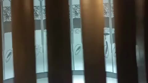 Dizzy in Motion – Spinning Art at The Mind Museum