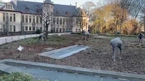 2 maart 2023 kunst bij het Europees parlement in Brussel: Struisvogels steken hun kop in het zand