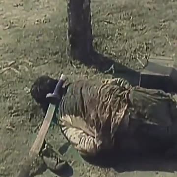 Japanese faced resistance during their imperialist invasion of China, Nanjing blueprint applied