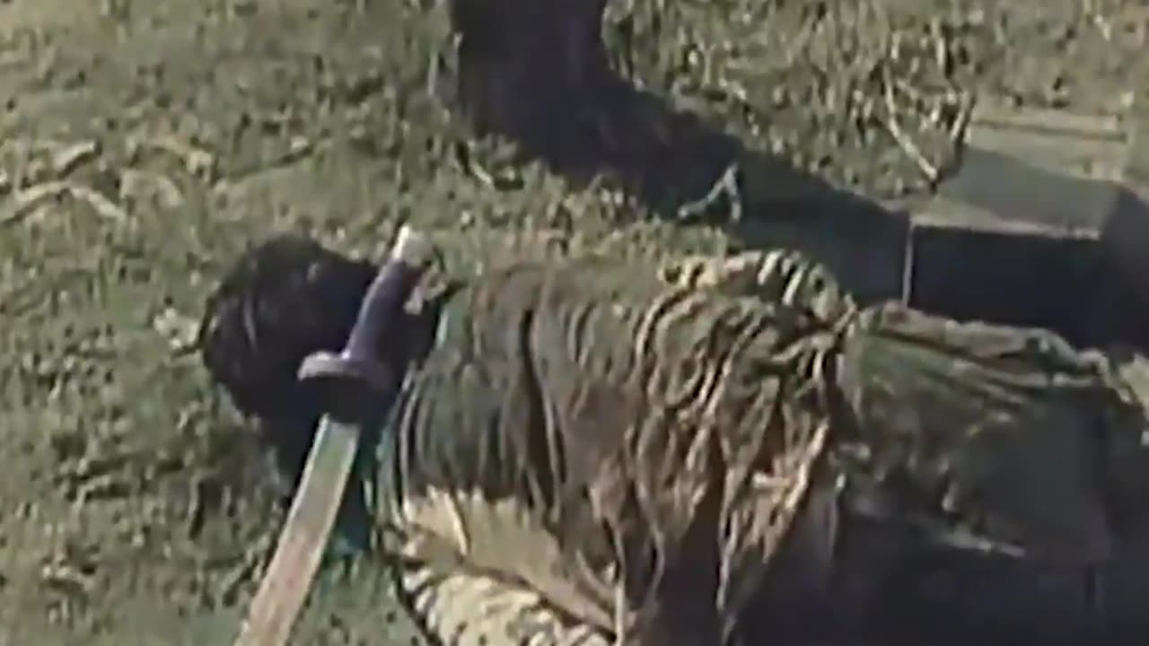 Japanese faced resistance during their imperialist invasion of China, Nanjing blueprint applied