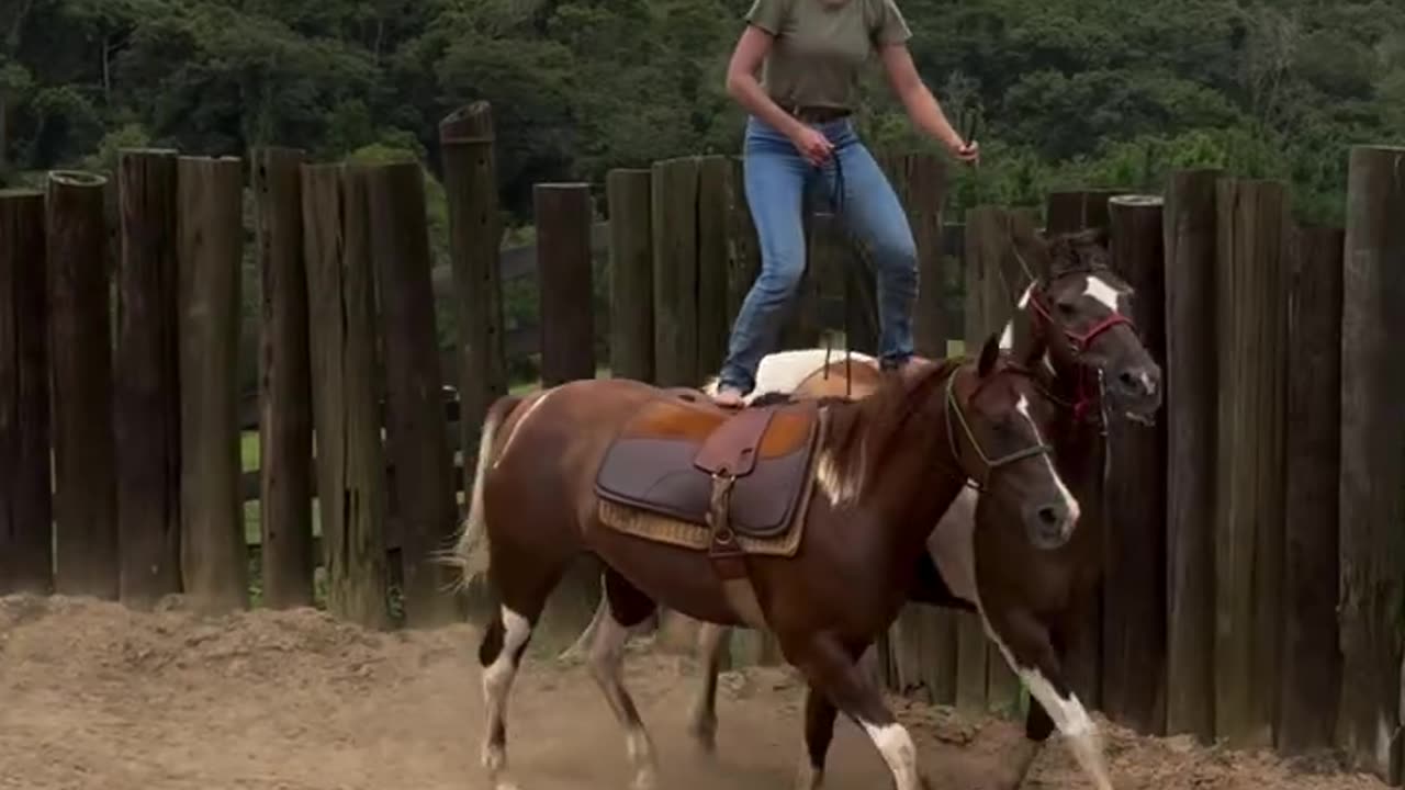 Fantastic horseman