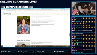 First November Stream!