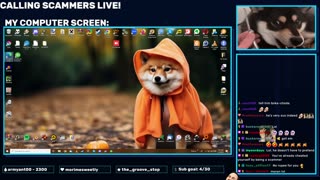 First November Stream!