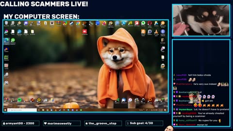 First November Stream!