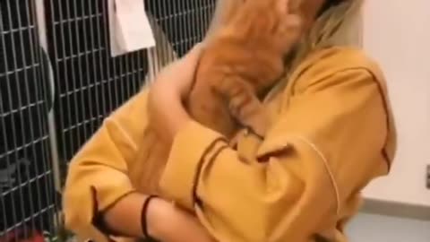 The girl goes to a shelter to adopt a cat, but instead gets adopted by the cat 🥹❤️