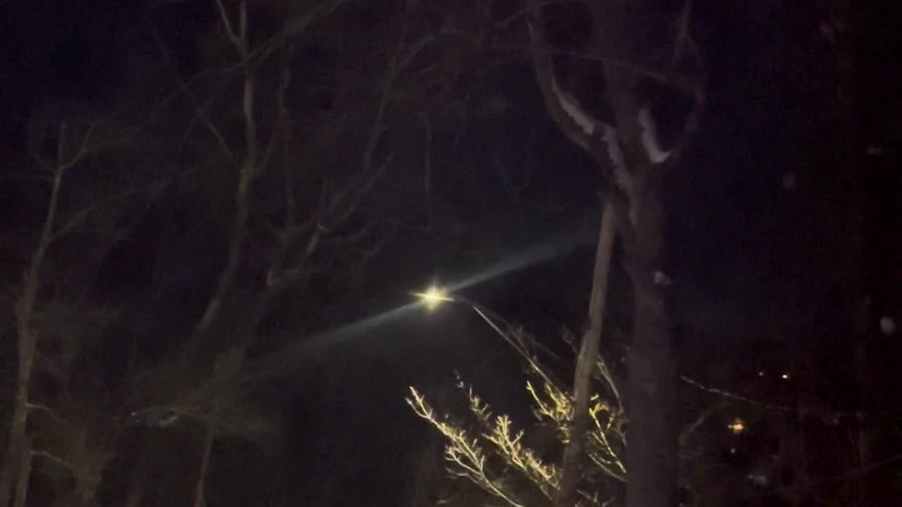 😈🐺 Demon-like Coyotes! | TheHauntingHour