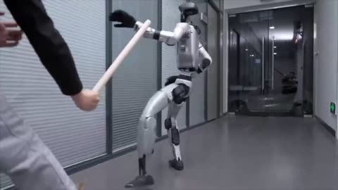 G1 Robots kung-fu