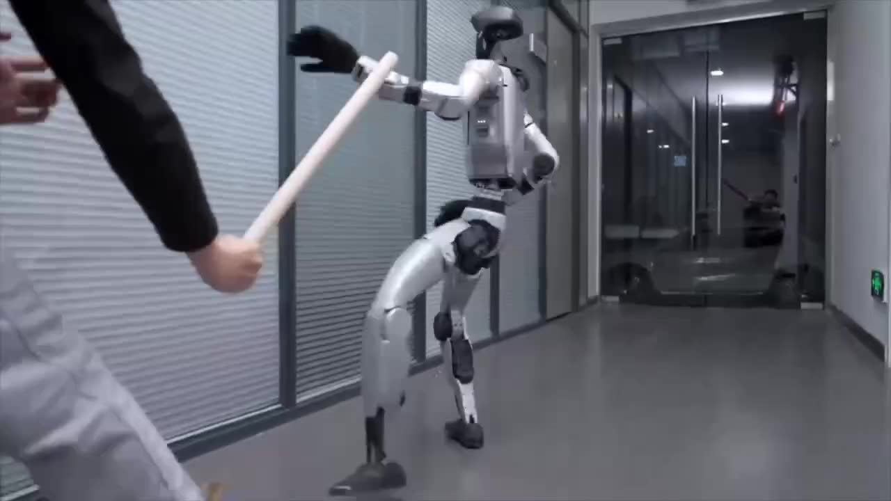 G1 Robots kung-fu