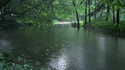 The beautiful little river is raining