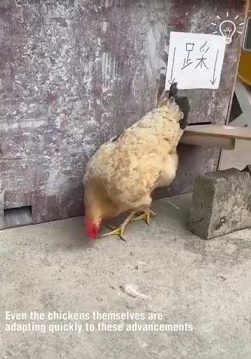 This could be the future of poultry farming!