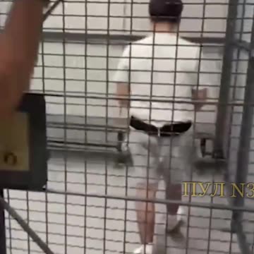 Американского школьника арестовали за неудачный запрос в ChatGPT: