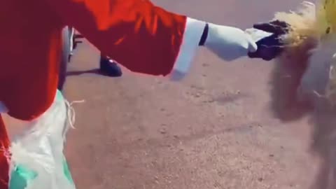 Funny video